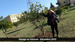 Voyage au vatican 36